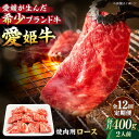 【ふるさと納税】【全12回定期便】 牛肉 愛姫牛 ロース 焼肉 用400g( 2人前 ) | 人気 おすすめ ランキング おいしい ステーキ お肉 国産肉 焼肉...