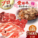 【ふるさと納税】【全3回定期便】牛肉 「 愛姫牛 」店主におまかせ旬 セット【梅】 800g ( 4人前 ) | 人気 おすすめ ランキング おいしい 大洲市/...