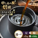 【ふるさと納税】【お中元対象】【選べる内容量/豆or粉】コーヒー豆 スペシャルティコーヒー おすすめ2種セット 各250g×2袋 or 各500g×2袋 | 人...