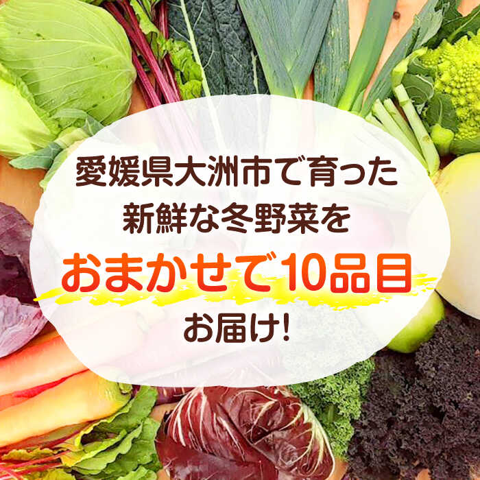 【ふるさと納税】野菜 【11月中旬から順次発送】冬野菜セット おまかせ10種 詰め合わせ 旬の野菜 国産 鍋物 炒め物 サラダ 野菜 定期便 野菜セット やさい 野菜 定期便 やさいセット 新鮮野菜 大洲市産 おすすめ 人気 美味しい おいしい 大洲市/かとう旬菜畑[AGCW001]