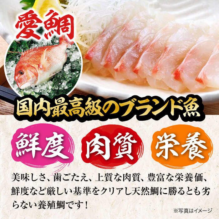 【ふるさと納税】真鯛 【冷凍】国内最高級 養殖 『愛鯛』1尾（3枚卸済 フィレ2枚 お頭付き） 人気 おすすめ 国産 ブランド鯛 大洲市/愛媛県漁業協同組合[AGDA001] 魚介類 魚介 鯛 刺身 鯛めし タイ茶漬け 鯛しゃぶ 鯛の塩焼き 刺し身 冷凍 さしみ 刺身 小分け