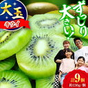 【ふるさと納税】【先行予約】キウイフルーツ ヘイワード 大玉(3L〜4L玉) 約150g×9個 甘熟パック入り・フルーツキャップ付き | 人気 おすすめ ランキ...