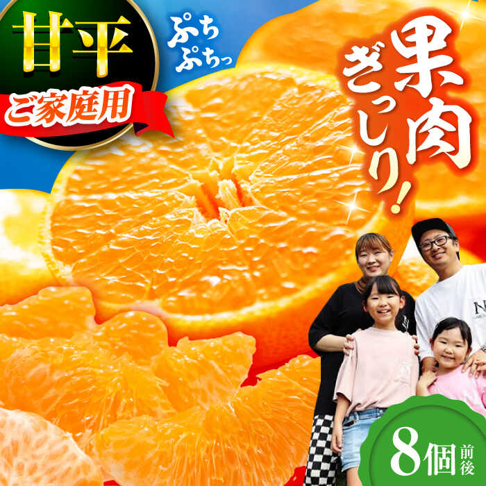 [2026年2月中旬から順次発送][ご家庭用]甘平 8個前後 みかん ミカン えひめ かんぺい 柑橘 大洲市/西村農園[AGDC004] みかん 蜜柑 甘平 果物 くだもの フルーツ 新鮮 愛媛県産 大洲市産 産地直送 おすすめ 人気 お取り寄せ 送料無料 ワケあり 訳あり