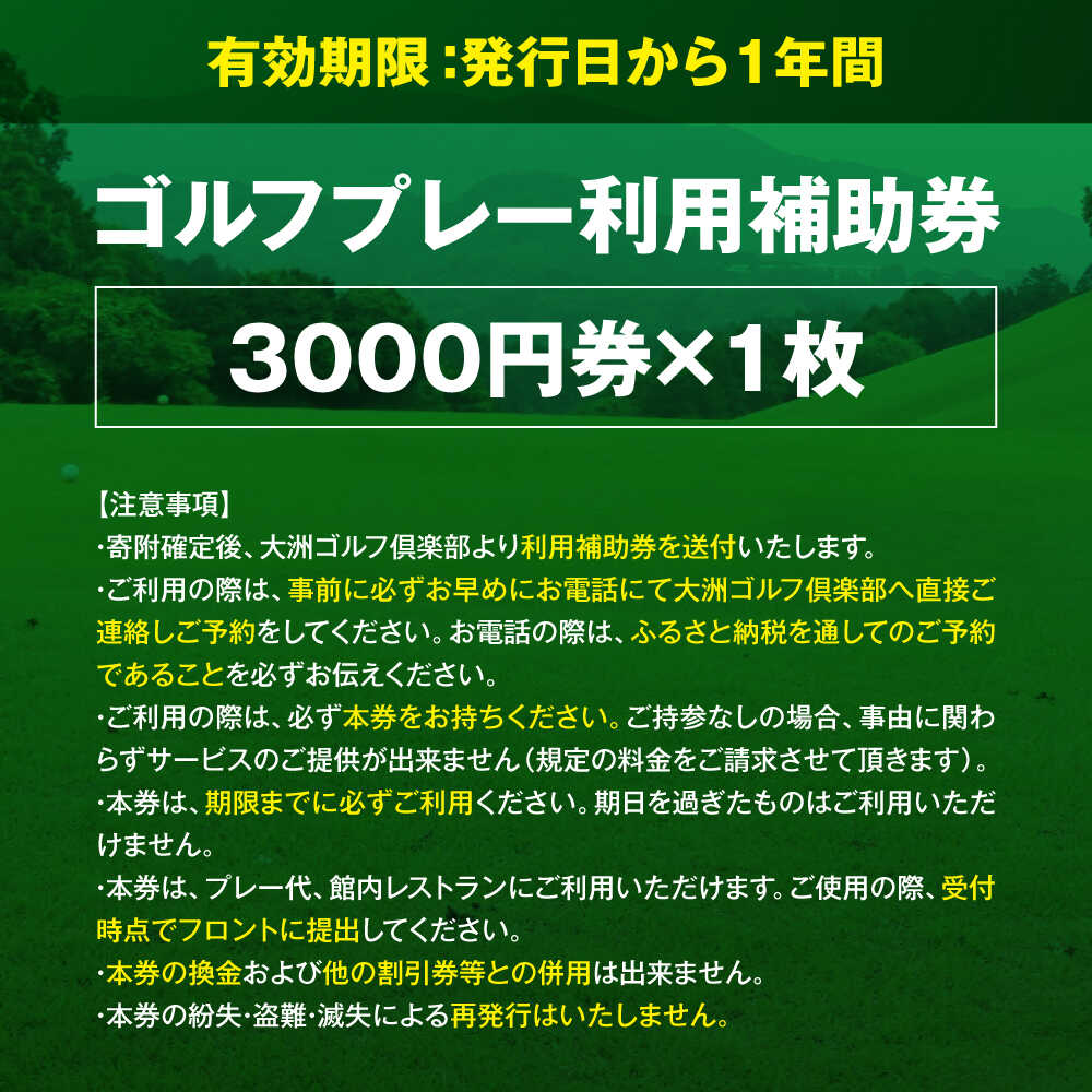 【ふるさと納税】 ゴルフプレー利用補助券 大洲ゴルフ倶楽部 3000円券×1枚 クーポン 割引券 利用券 愛媛県大洲市/大洲観光株式会社[AGDI002] ゴルフ ゴルフ場 プレー プレー券 観光 旅行 プレーチケット チケット 体験 おすすめ 人気 お取り寄せ 送料無料 贈答 ギフト