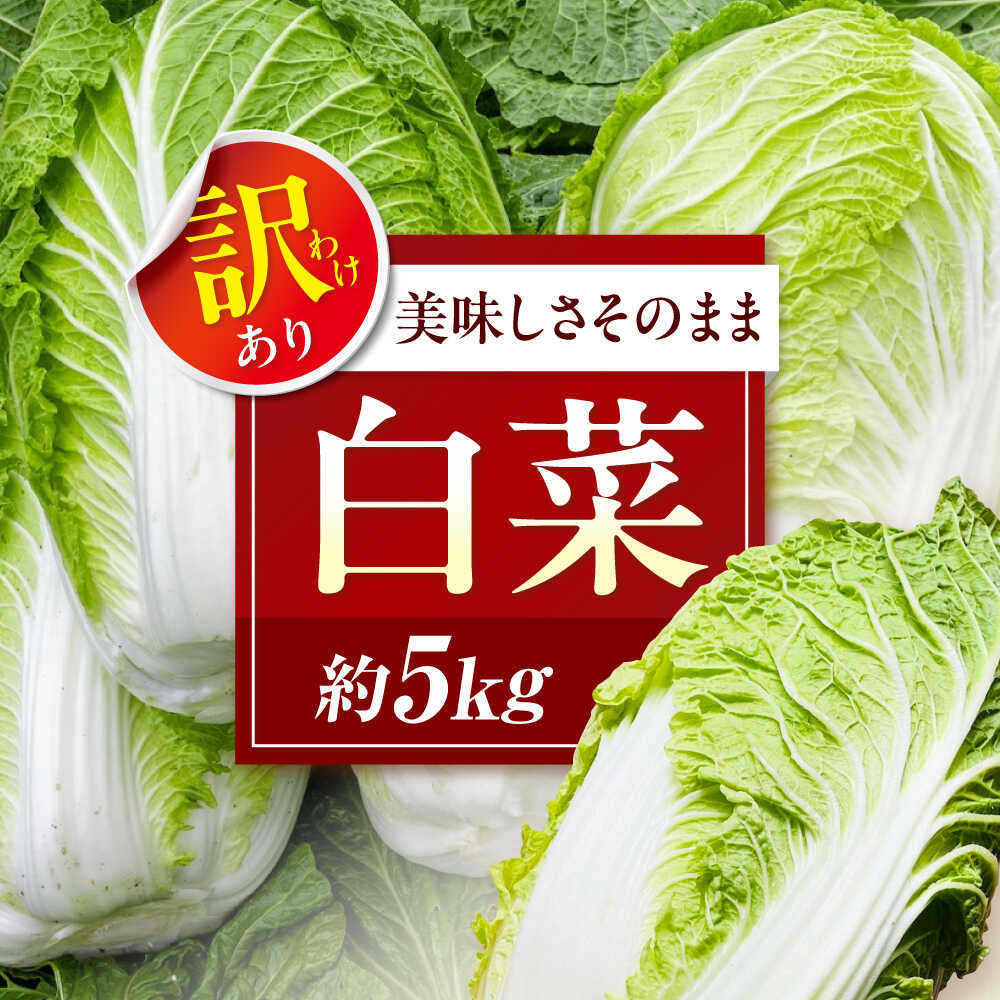 【ふるさと納税】白菜 【先行予約】【12月上旬から順次配送】や!サライ 訳あり白菜 約5kg(3玉から4玉) 人気 おすすめ はくさい ハクサイ 野菜 やさい ...