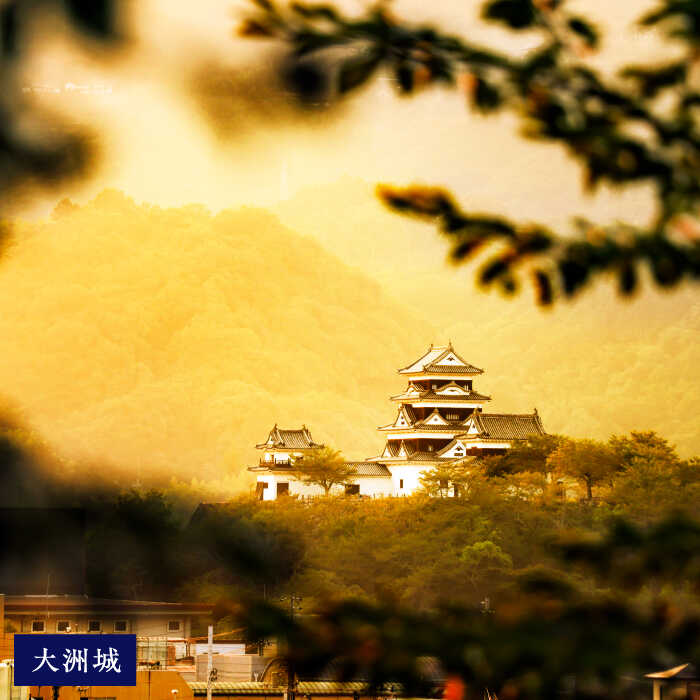 【ふるさと納税】 宿泊 大洲市の対象施設で使える楽天トラベルクーポン 寄付額30000円 クーポン クーポン券 トラベルクーポン 観光 旅行 国内旅行 ホテル 旅館 宿 トラベル チケット 旅行券 宿泊券 体験 おすすめ 人気 愛媛 愛媛県 大洲市 [AGXX003] 30000 30000円