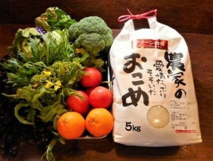 6位! 口コミ数「0件」評価「0」ふるさと納税限定！『シェフの食卓』～野菜・果物・お米・卵の詰め合わせ～　野菜 果物 お米 卵 詰め合わせ愛媛県大洲市/有限会社ヒロファミリー･･･ 