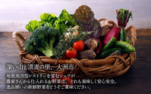 【ふるさと納税】栽培期間中農薬不使用！大満足 旬のお野菜セット　野菜 旬野菜 季節 新鮮 セット 愛媛県大洲市/有限会社ヒロファミリーフーズ [AGBX003]