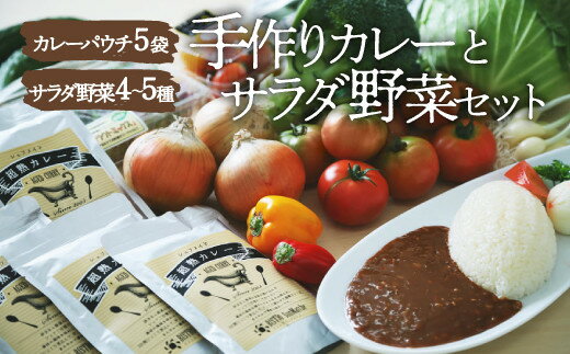 【ふるさと納税】シェフ激選！栽培期間中農薬不使用！旬の野菜と、こだわりの手作りカレーセット カレー 野菜 旬 サラダ 新鮮 愛媛県大洲市/有限会社ヒロファミリーフーズ[AGBX025]