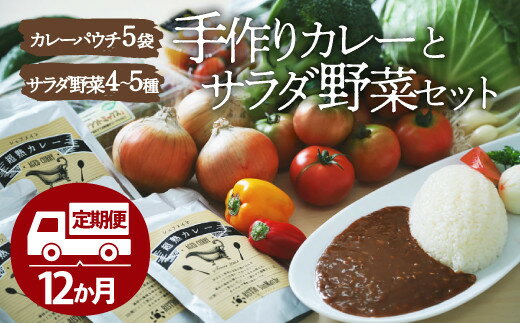 【ふるさと納税】【全12回定期便】シェフ激選！栽培期間中農薬不使用！旬の野菜と、こだわりの手作りカレーセット カレー 野菜 旬 サラダ 新鮮 愛媛県大洲市/有限会社ヒロファミリーフーズ[AGBX027]