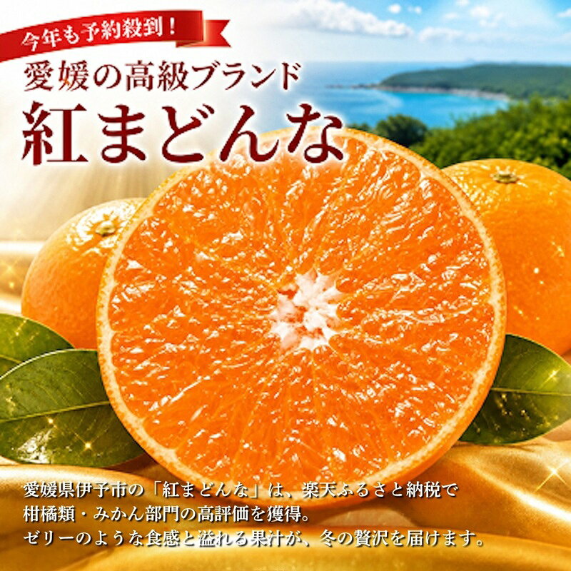 【ふるさと納税】【2026年先行予約】紅まどんな 愛媛 ご家庭用 1.5kg （5～13個）【数量限定】愛果28号 愛媛果試第28号 みかん 柑橘 人気 愛媛 伊予市＜2026年11月下旬～順次発送＞｜B249 f382108-iyo-10000487 愛媛県伊予市 サンプル画像2