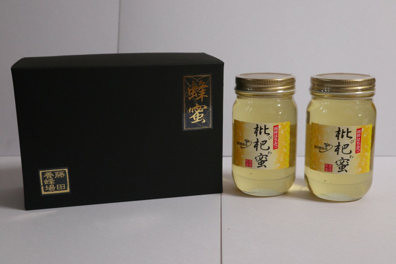 【ふるさと納税】はちみつ びわ蜜 ×2本【2026年1月末以降発送】藤田養蜂場 ハチミツ 蜂蜜｜B38