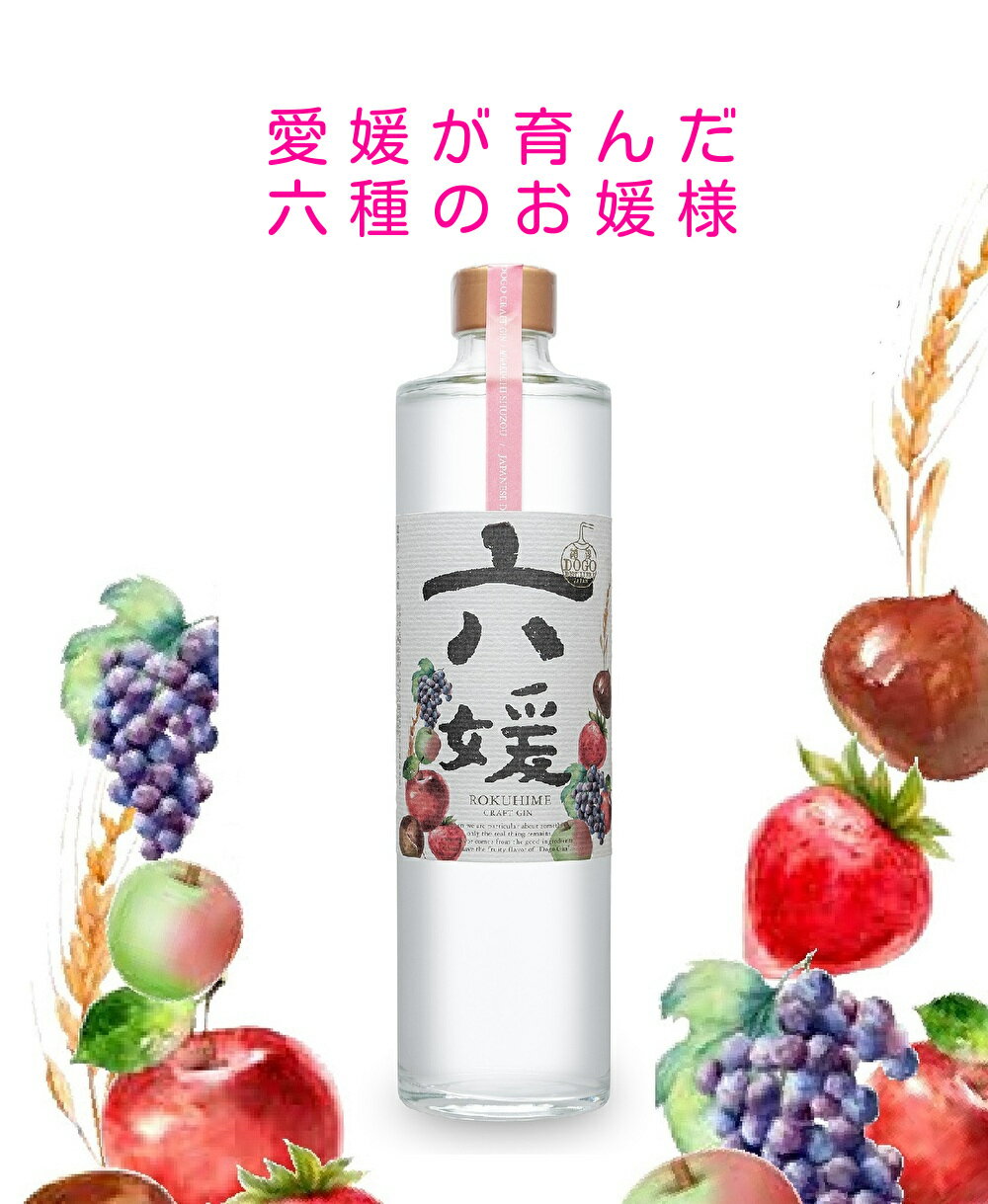 【ふるさと納税】道後ジン 六媛 クラフトジン スピリッツ 愛媛県産 ボタニカル 500ml|C02