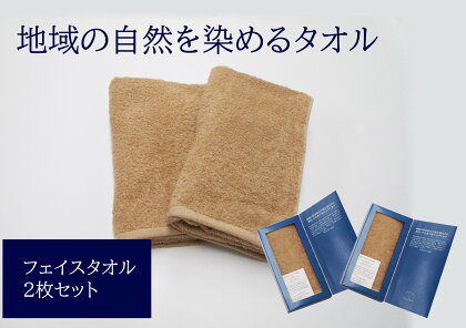 フェイスタオル 2枚 ベージュ 天然加工 今治産 今治産タオル 地域の自然を染めるタオル 河上工芸所｜B142