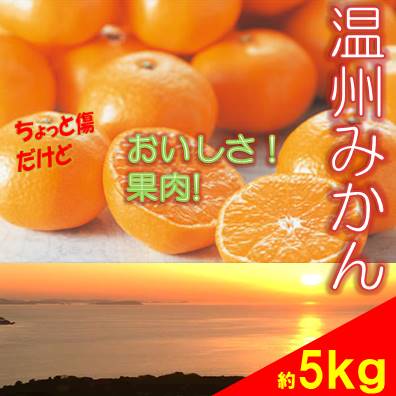 【ふるさと納税】訳あり 温州みかん 5kg ご家庭用 人気 