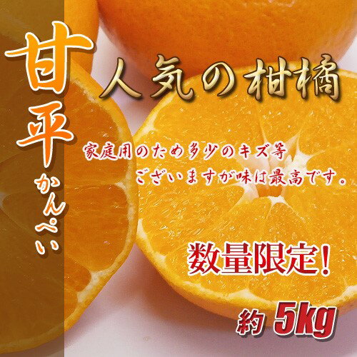 訳あり 甘平 5kg ご家庭用 人気 数量限定 先行予約 みかん 愛媛 柑橘 [2025年1月以降順次発送]|