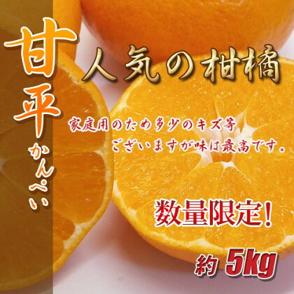 訳あり 甘平 5kg ご家庭用 人気 数量限定 先行予約 みかん 愛媛 柑橘 【2025年1月以降順次発送】｜B151