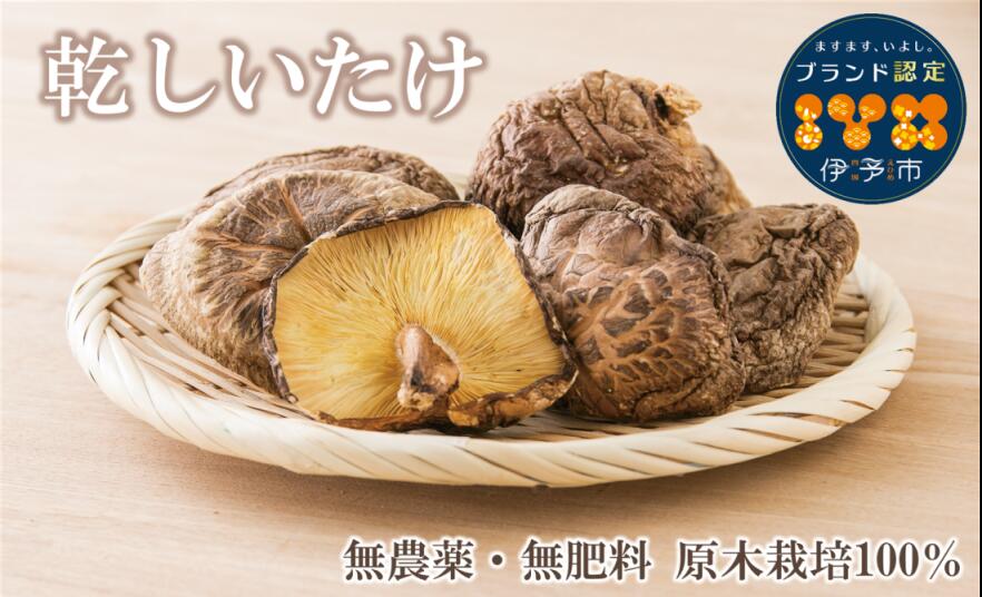 【ふるさと納税】乾しいたけ 出汁 出汁文化のまち伊予の乾しいたけ 約180g 和食 本格出汁 干し椎茸 原木栽培 うま味 正月 年越し 迎春 お年賀 年末 年始 伊予市｜B85