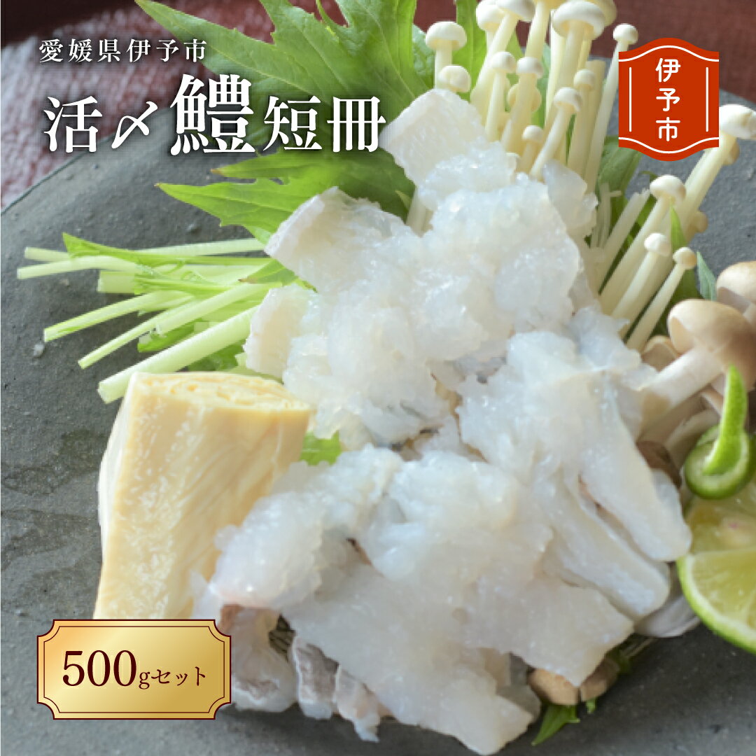 ڤդ뤵ǼǡB101ɲͽԳ衺û500祻å