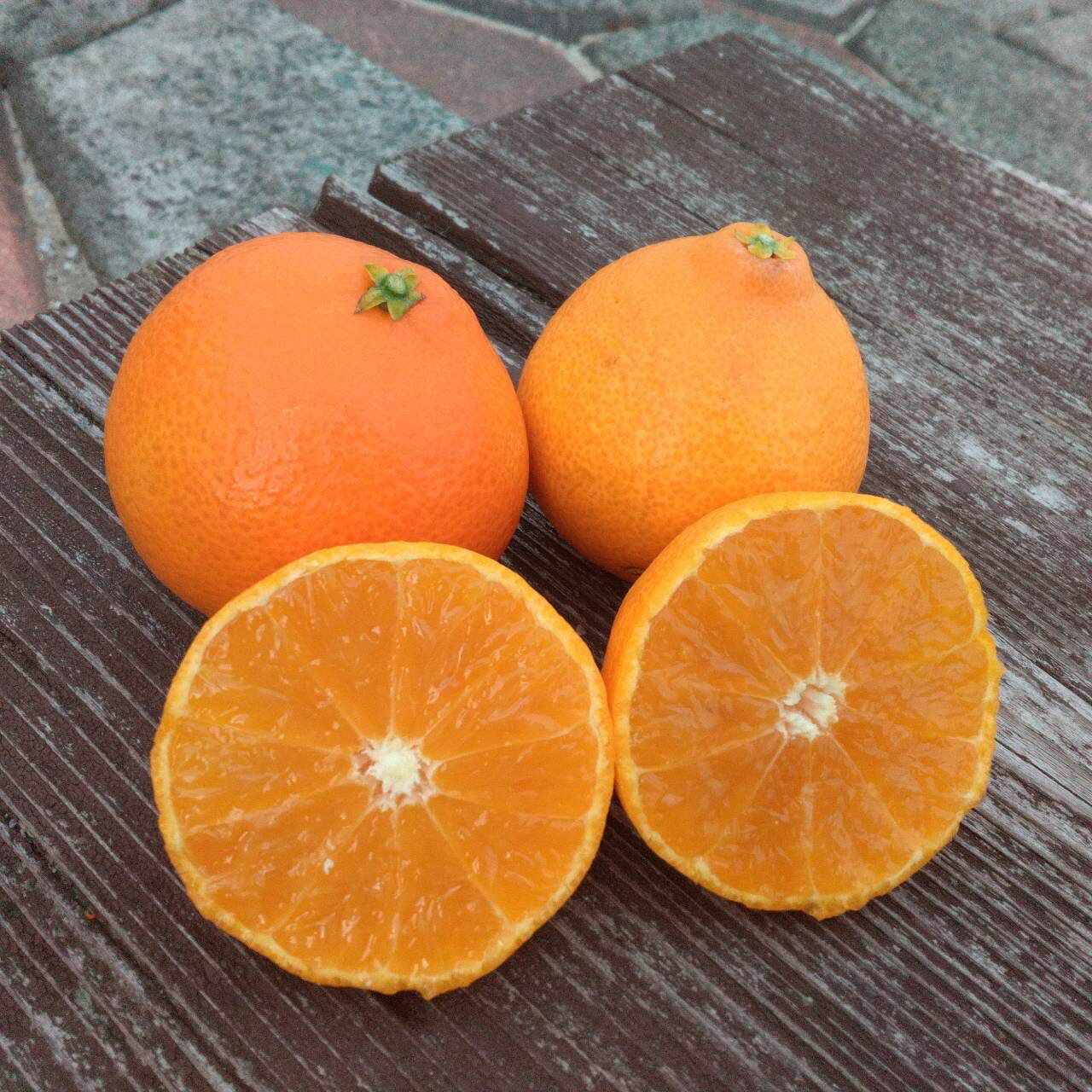 愛果28号 5kg 愛媛 人気 数量限定 柑橘 伊予市｜B206