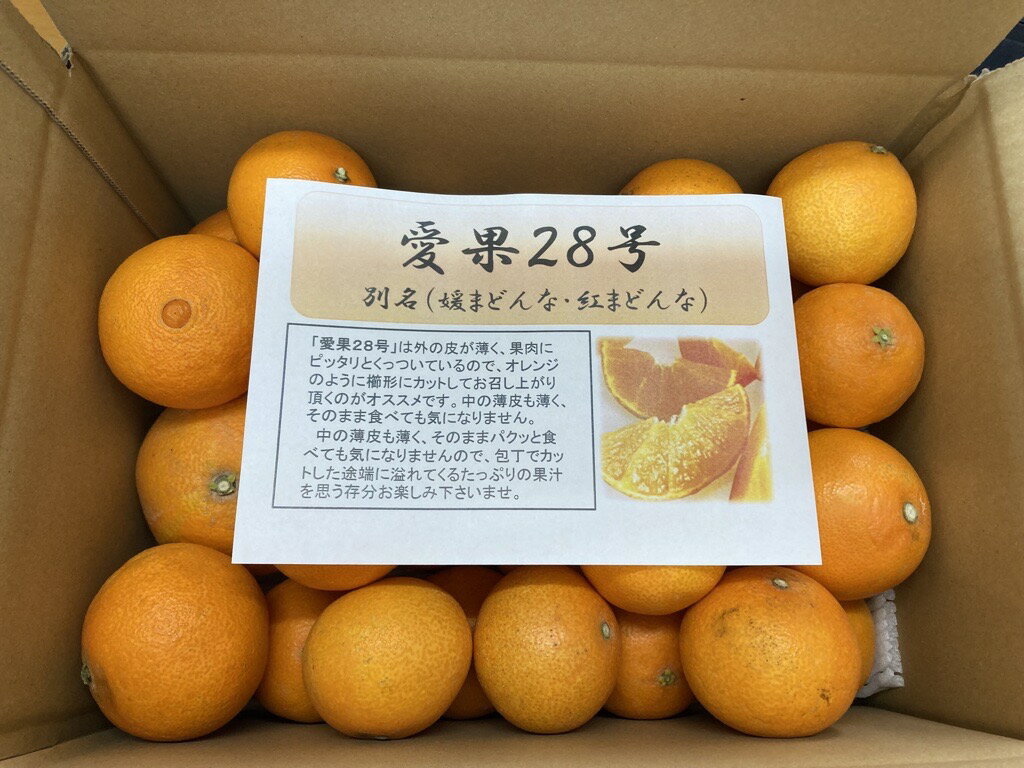 【ふるさと納税】訳あり 愛果28号 5kg ご家庭用 みかん 愛媛 人気 数量限定 先行予約 柑橘 【2024年12月発送】｜B148