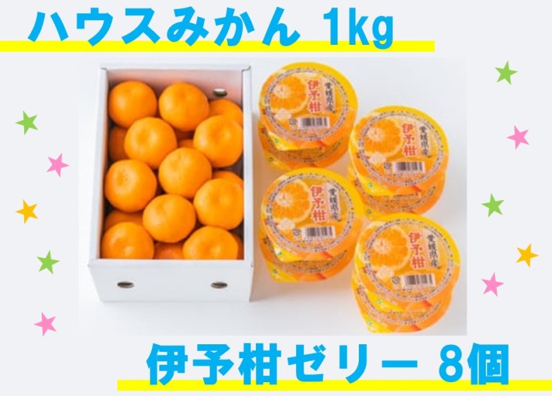 9位! 口コミ数「0件」評価「0」みかん 愛媛 ハウスみかん＆伊予柑ゼリー 【先行予約】 【2024年7月発送】 人気 数量限定 柑橘 伊予市｜B41