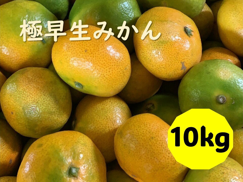 極早生みかん 10kg ご家庭用 日南1号 農園直送 愛媛 数量限定 愛媛県産 人気 柑橘 伊予市 |