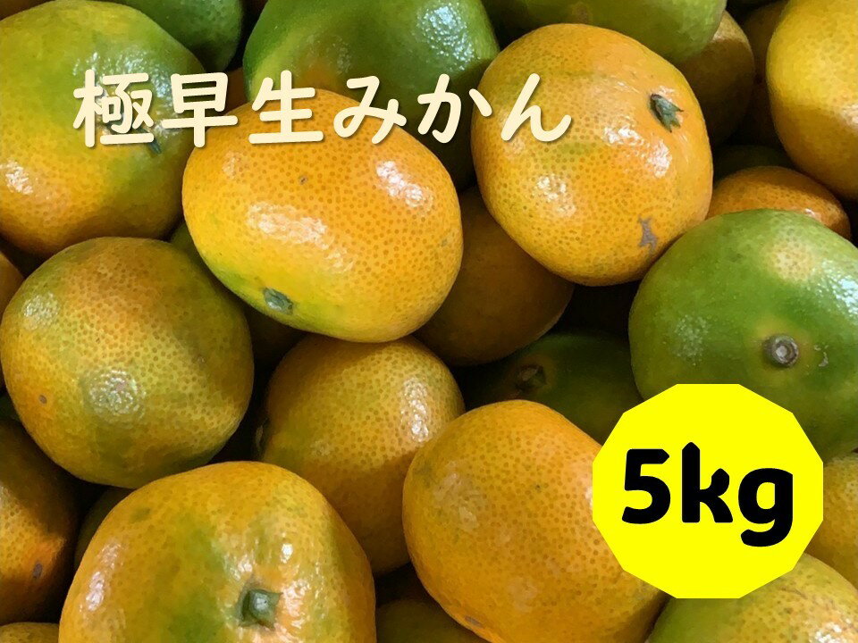 【ふるさと納税】極早生みかん 5kg ご家庭用 日南1号 農