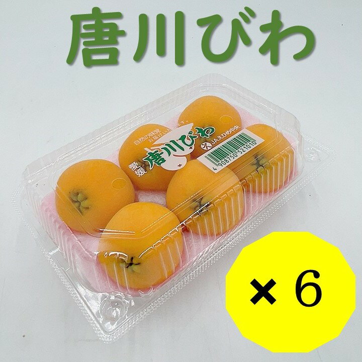 びわ 唐川びわ 先行予約 6個入り×6パック[2024年5月下旬発送]|