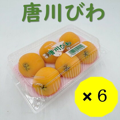 びわ 唐川びわ 先行予約 6個入り×6パック【2024年5月下旬発送】|B124