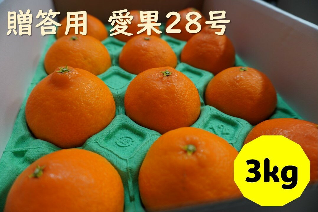 8位! 口コミ数「0件」評価「0」愛果28号 3kg 贈答用 【2024年12月配送】 みかん 愛媛 人気 数量限定 先行予約 柑橘 伊予市｜B219