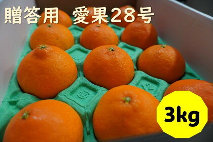 愛果28号 3kg 贈答用 【2024年12月配送】 みかん 愛媛 人気 数量限定 先行予約 柑橘 伊予市｜B219