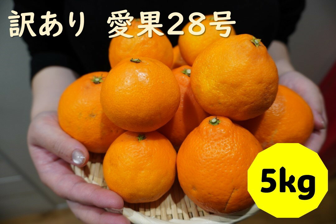 訳あり 愛果28号 5kg サイズミックス [2024年12月配送]みかん 愛媛 数量限定 先行予約 柑橘 伊予市|