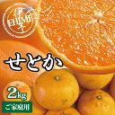 【ふるさと納税】訳あり せとか 2kg ご家庭用 みかん 愛媛 人気 サイズミックス 柑橘 伊予市 【2026年2月下旬順次発送】 | B235