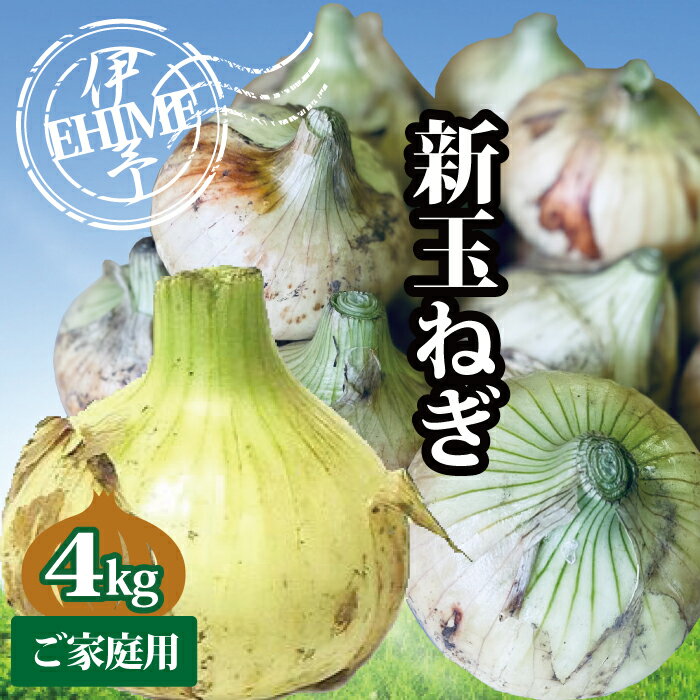 【ふるさと納税】新玉ねぎ 約4kg 4月発送 春の味わい 愛媛 伊予市｜B237