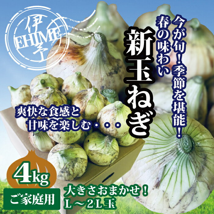 【ふるさと納税】新玉ねぎ 約4kg 4月発送 春の味わい 愛媛 伊予市｜B237