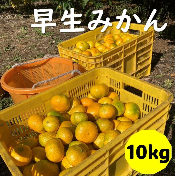 【ふるさと納税】早生みかん 10kg ご家庭用 農園直送 先