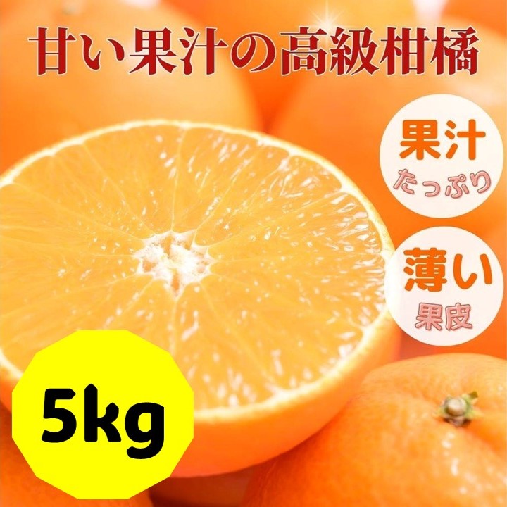 17位! 口コミ数「0件」評価「0」愛果28号 バラ詰め 5kg 先行予約 12月発送 愛媛 数量限定 愛媛県産 人気 柑橘 伊予市｜C57