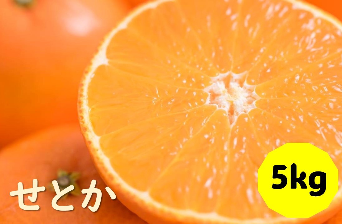 【ふるさと納税】せとか バラ詰め 5kg 先行予約 2025