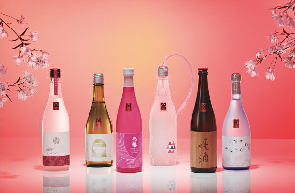 【ふるさと納税】地酒 日本酒 石鎚純米大吟醸 さくらひめ 愛媛 さくらひめシリーズ 1本 TYPE-1｜B270 f382108-iyo-10000451 愛媛県伊予市 サンプル画像3