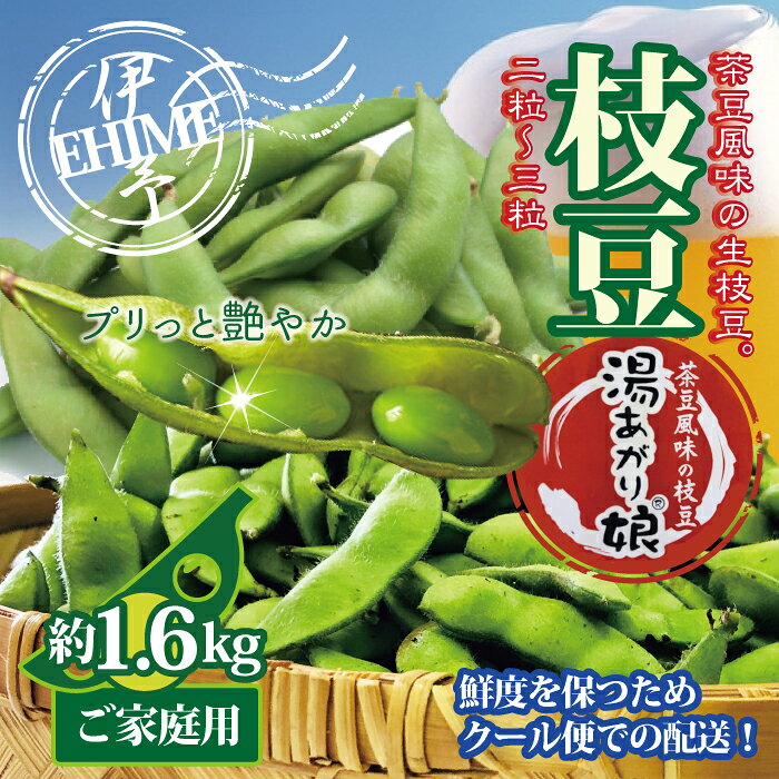 【ふるさと納税】訳あり 枝豆 湯あがり娘 約1.6kg 家庭用 【2026年7月中旬より順次発送予定】 小分け 愛媛 伊予市｜B239