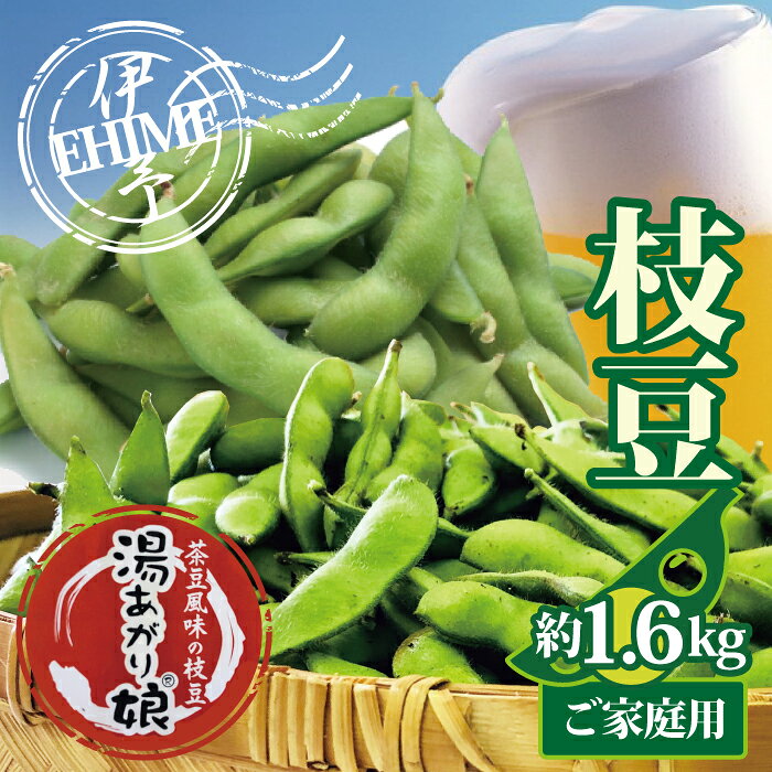 訳あり 枝豆 湯あがり娘 約1.6kg 家庭用 【2026年7月中旬より順次発送予定】 小分け 愛媛 伊予市｜B239