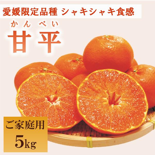 みかん 愛媛 甘平(約5kg)家庭用 L〜3Lサイズ 人気 数量限定 先行予約 柑橘 伊予市|C51