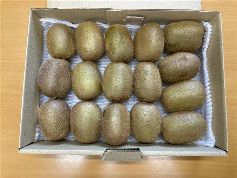 【ふるさと納税】【2026年先行予約】キウイ キウイフルーツ 2kg 秀品 【糖度14度～...