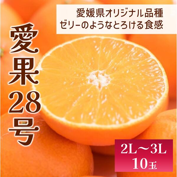 ڤդ뤵Ǽǡ۰28102L3Lͽ12ȯɲ̸갦ɲ͵̰ͽԡC56