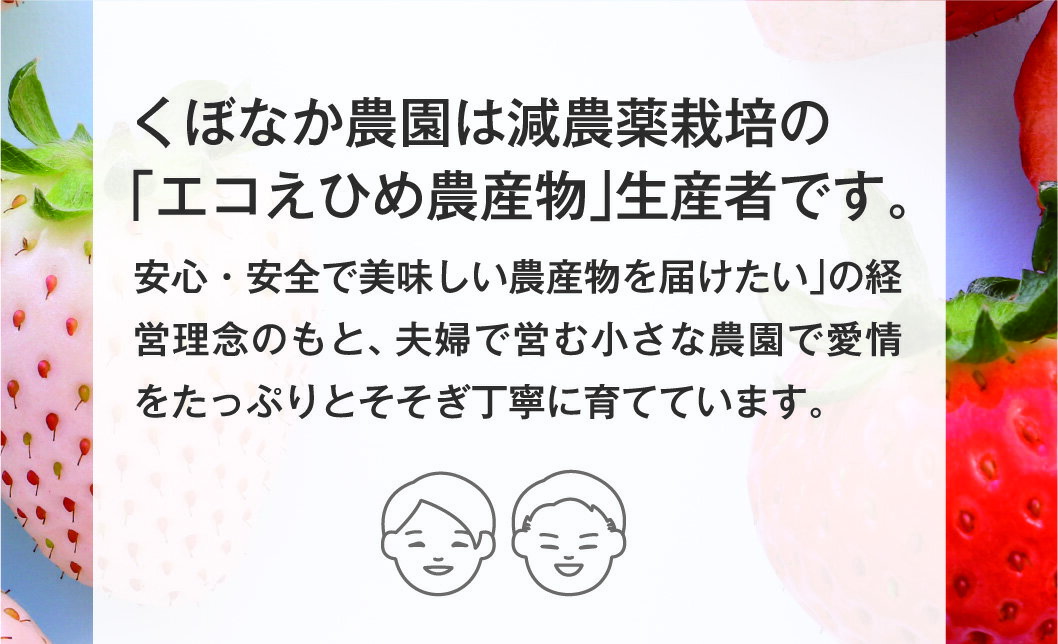 【ふるさと納税】いちご 高級 ぜいたく いちご狩り気分 ランダム 4品種食べ比べセット あまおとめ 紅い雫 さちのか おいCベリー スターナイト かおり野 みくのか 数量限定 農園直送 ギフト 愛媛 人気 伊予市 くぼなか農園｜B15