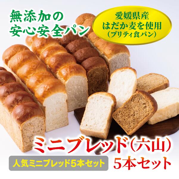 【ふるさと納税】食パン 無添加 5本 六山 篠崎ベーカリー ミニサイズ 伊予市 老舗 ミニブレッド | B166