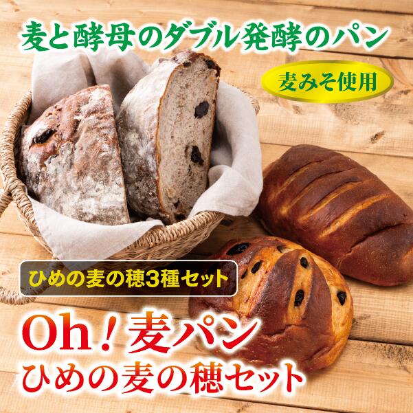 【ふるさと納税】【愛媛県産大麦(はだか麦)使用】Oh!麦パン ひめの麦の穂セット パン 篠崎ベーカリー 詰め合わせ こだわり おすすめ 食べ比べ おやつ 朝ごは...