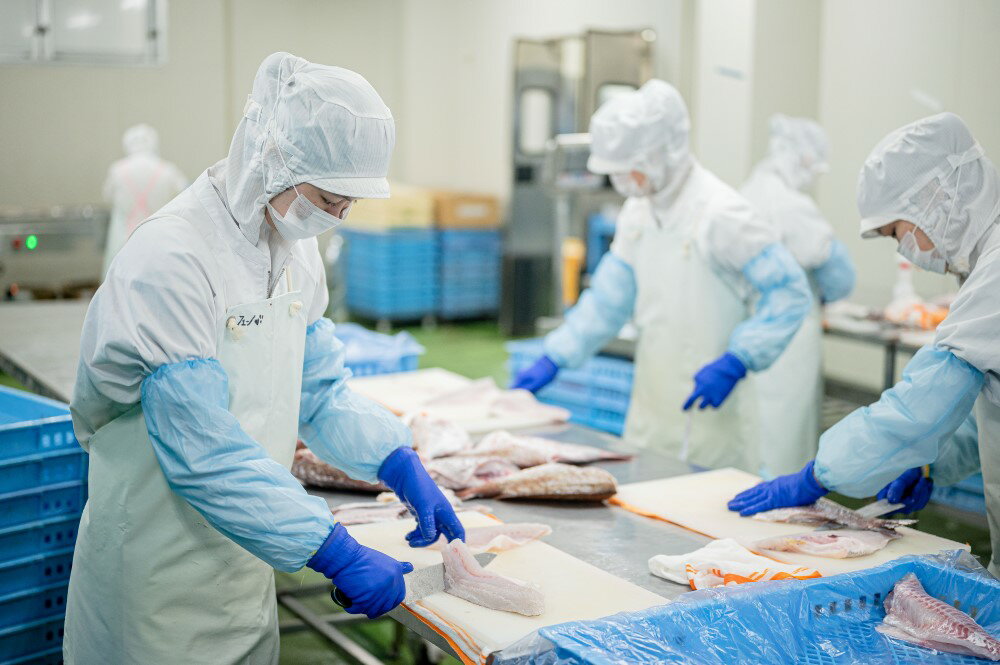 【ふるさと納税】チダイ切り身 骨取 10枚 【選べる容量】 2〜5パック 冷凍 鯛 タイ 白身魚 鮮魚 焼き魚 天ぷら 煮物 北風鮮魚 愛媛県 伊予市