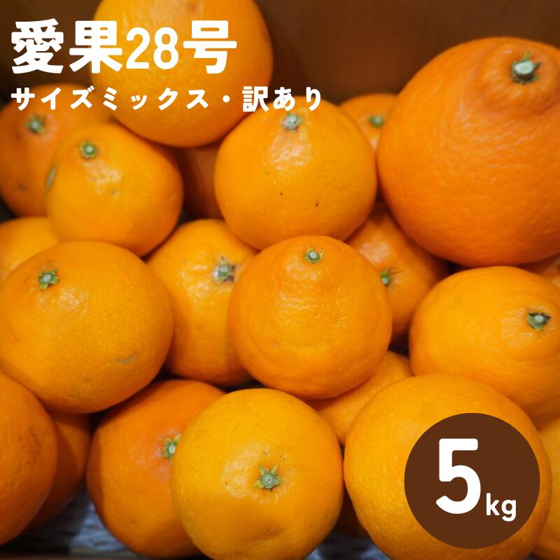 楽天市場】愛媛果試第28号 訳ありの通販 楽天市場】愛媛果試第28号 訳ありの通販